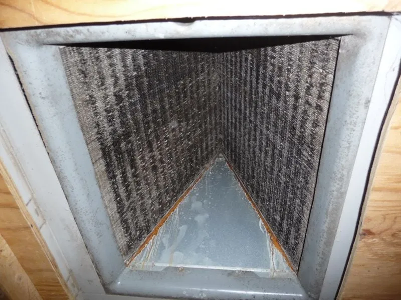 Slide of Duct Busters