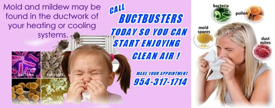 Slide of Duct Busters