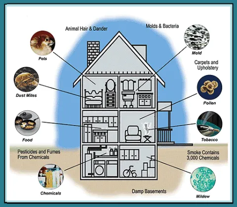 Slide of Duct Cleaning