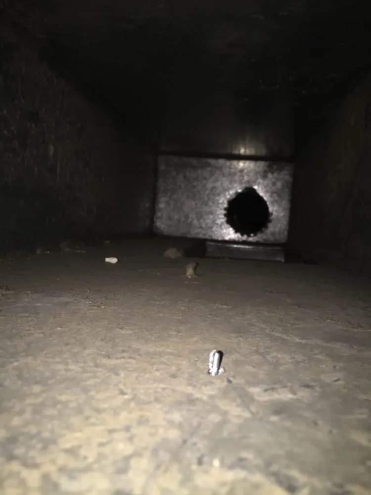 Slide of Duct Dogs Corp