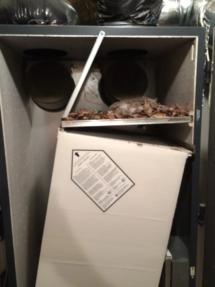 Slide of Duct Dogs Corp