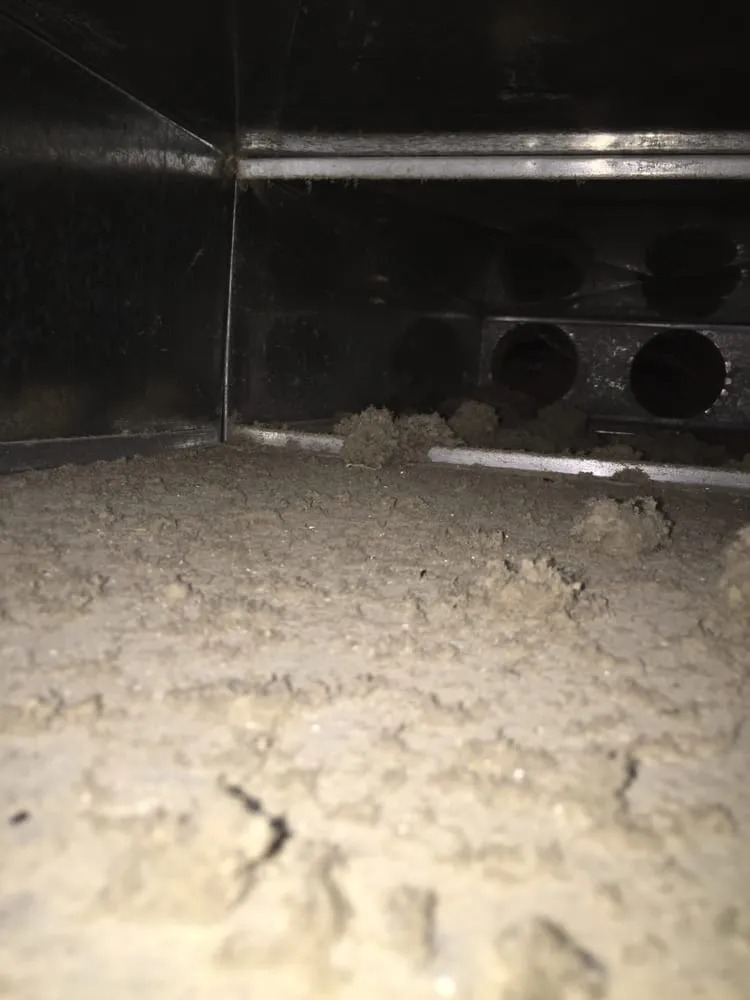 Slide of Duct Dogs Corp