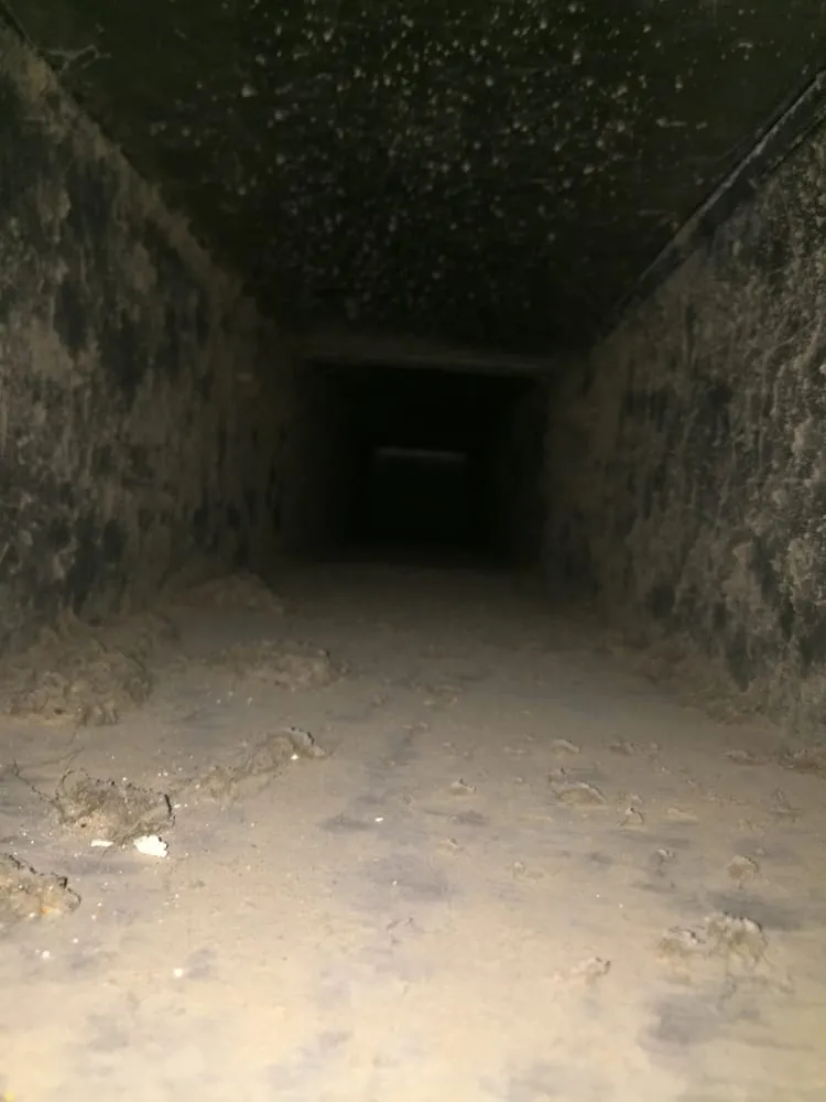 Slide of Duct Dogs Corp