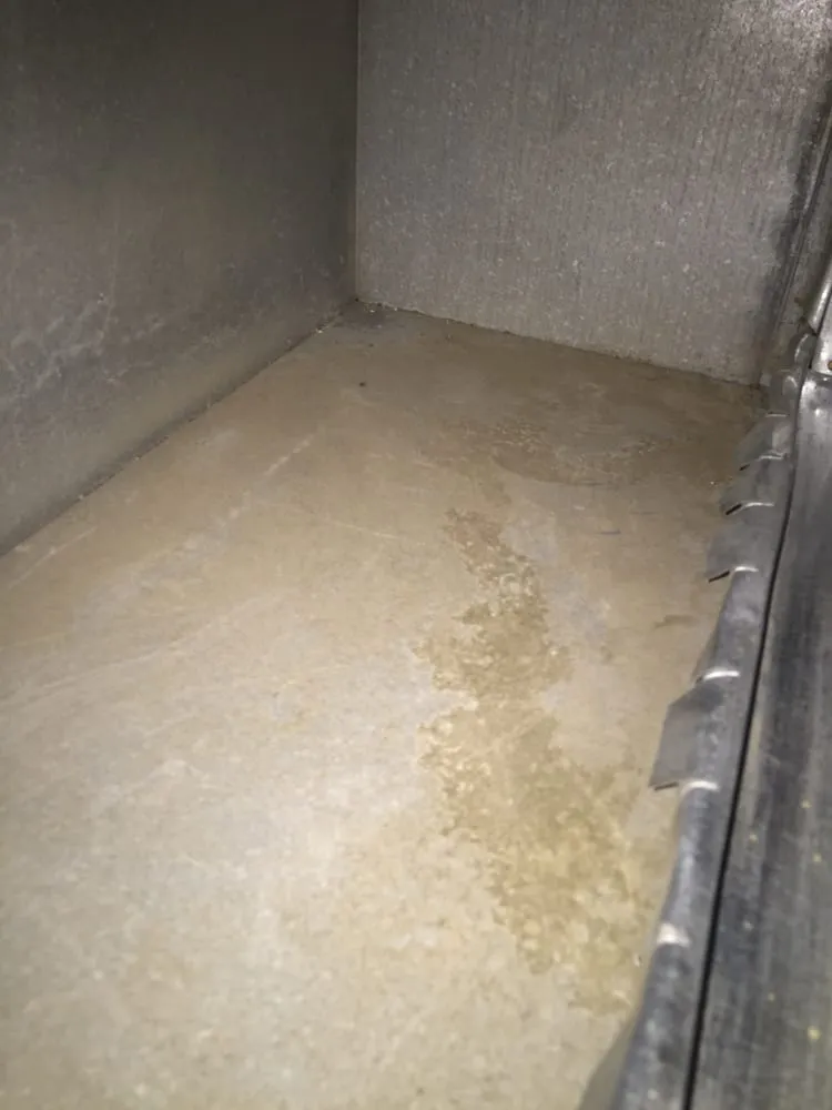 Slide of Duct Dogs Corp