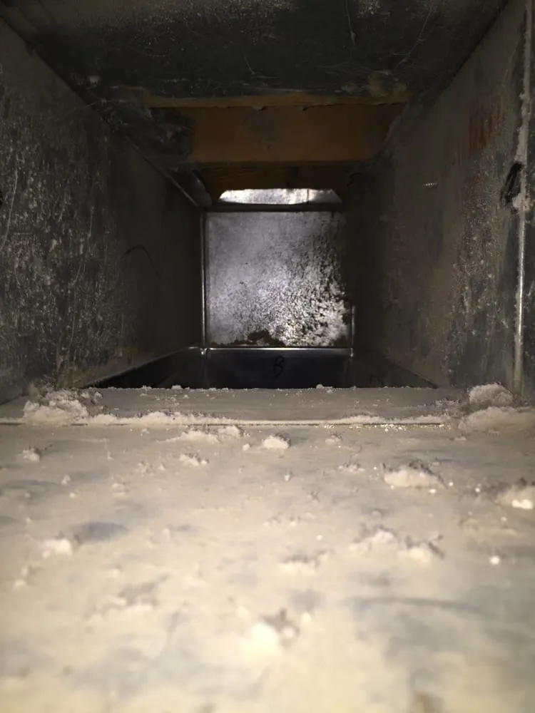 Slide of Duct Dogs Corp