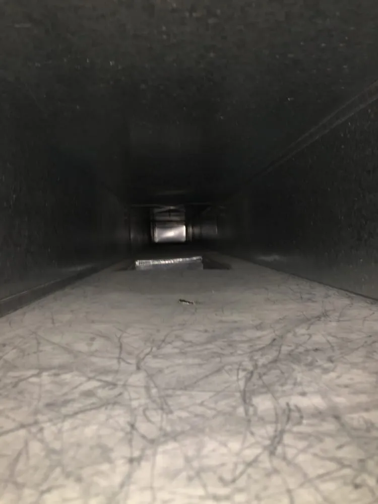 Slide of Duct Dogs Corp