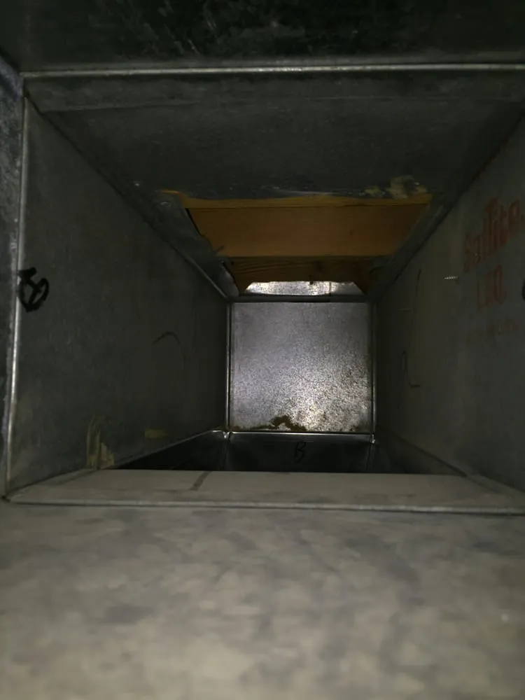 Slide of Duct Dogs Corp