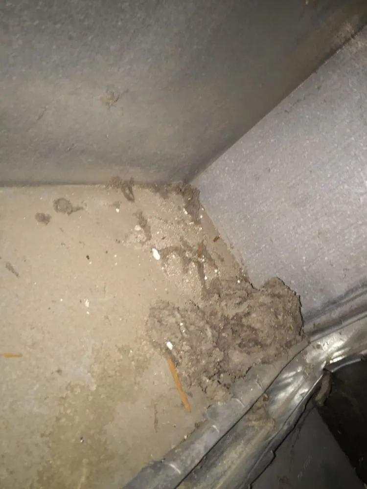 Slide of Duct Dogs Corp