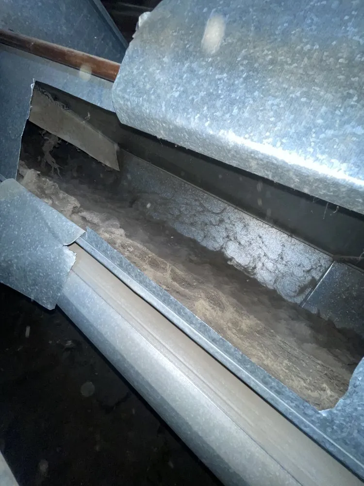 Slide of Duct Duct Breathe