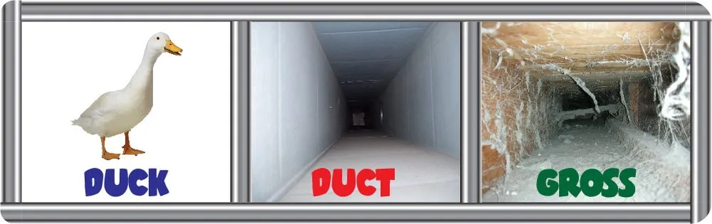 Slide of Duct Kings