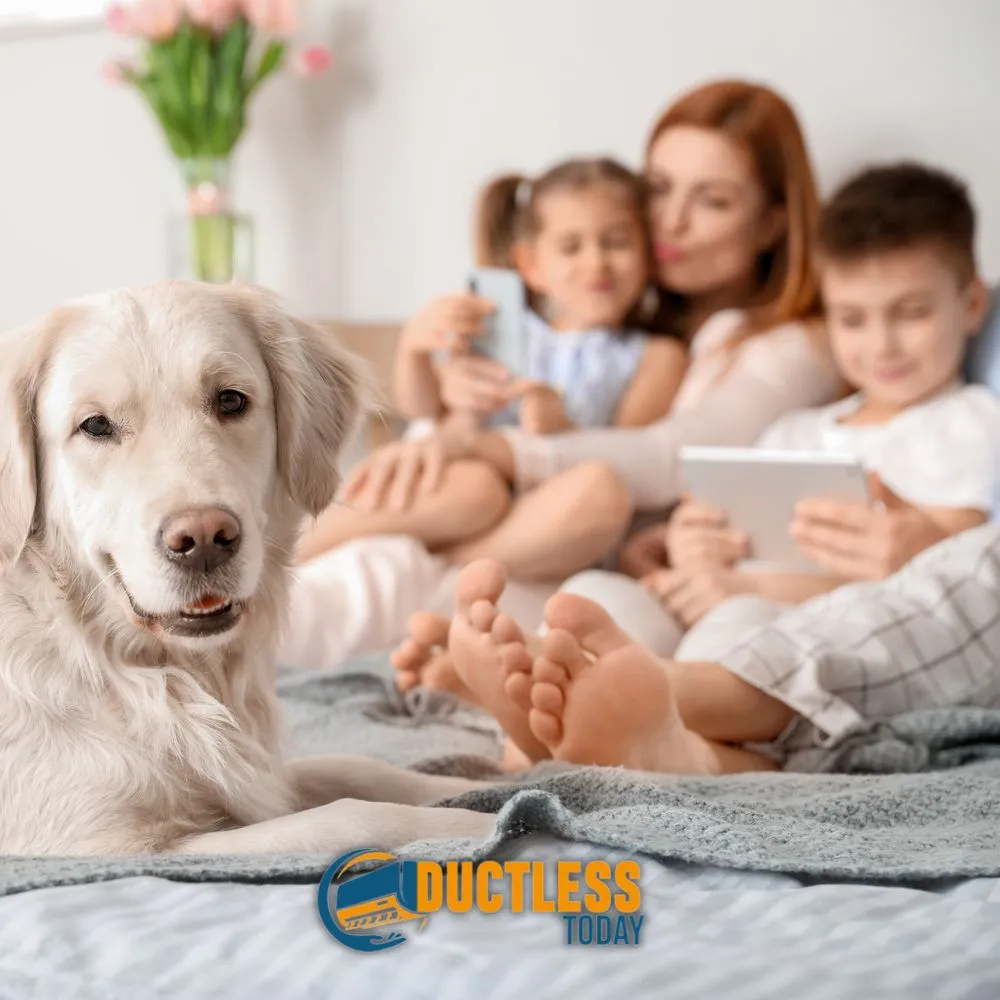 Slide of Ductless Today