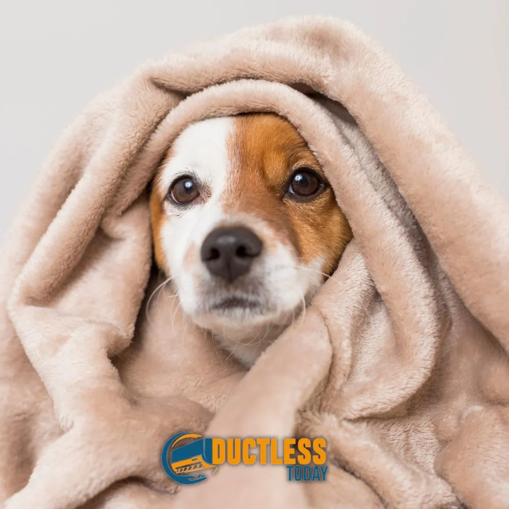 Slide of Ductless Today