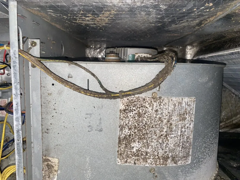 Slide of Ducts All Done