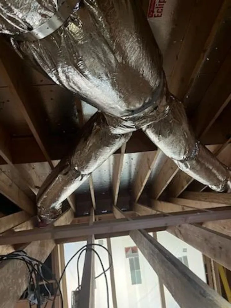 Slide of Ducts First