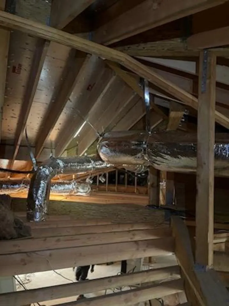 Slide of Ducts First