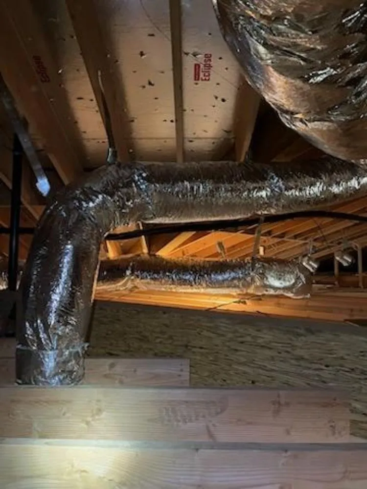 Slide of Ducts First