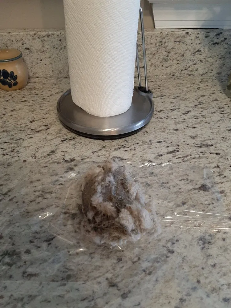 Slide of Ducts So Kleen