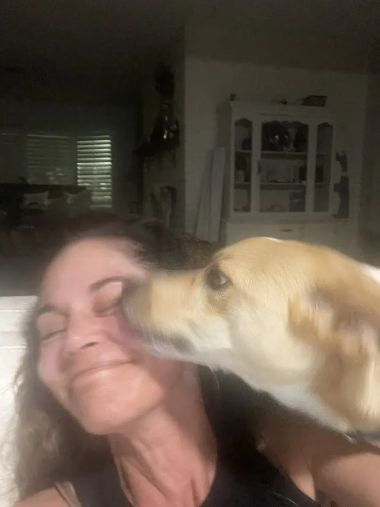 Slide of DUCTZ of Boca Raton