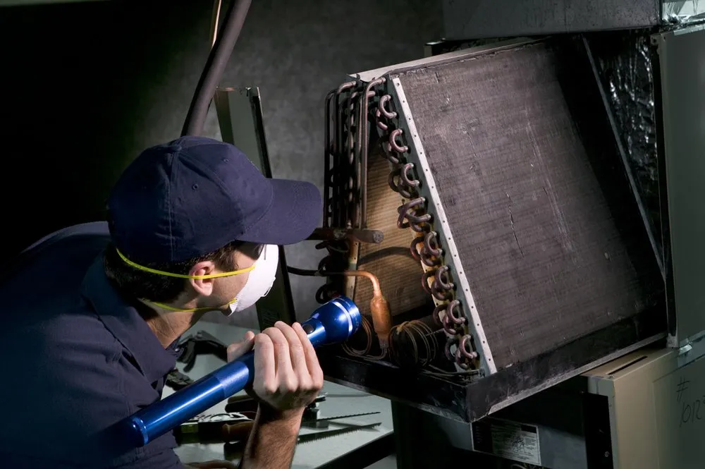 Slide of DUCTZ of Boca Raton