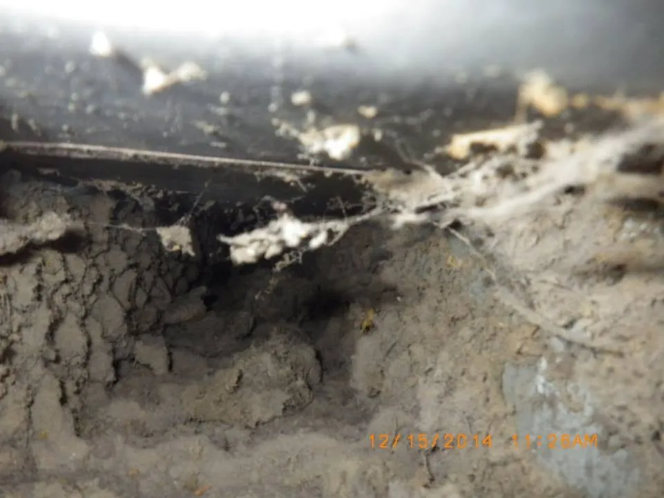 Slide of DUCTZ of Greater Atlanta