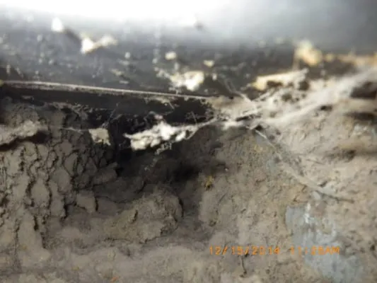 DUCTZ of Greater Atlanta