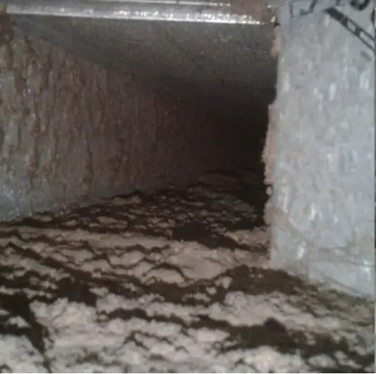 Slide of DUCTZ of Naples and Bonita Springs