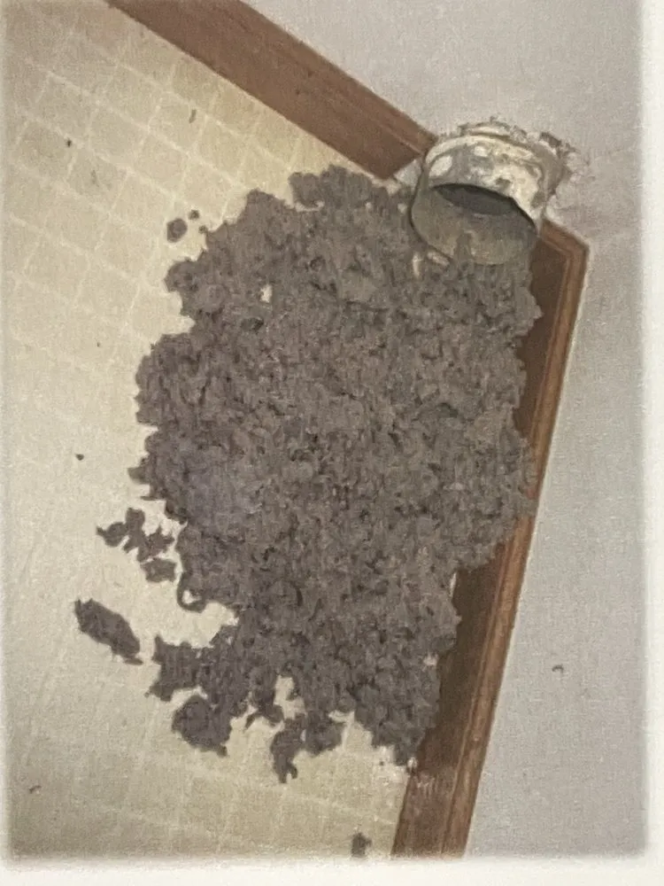 Slide of DUCTZ of Naples and Bonita Springs