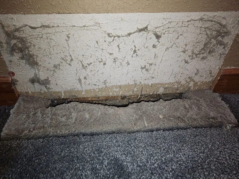 Slide of DUCTZ of Siouxland