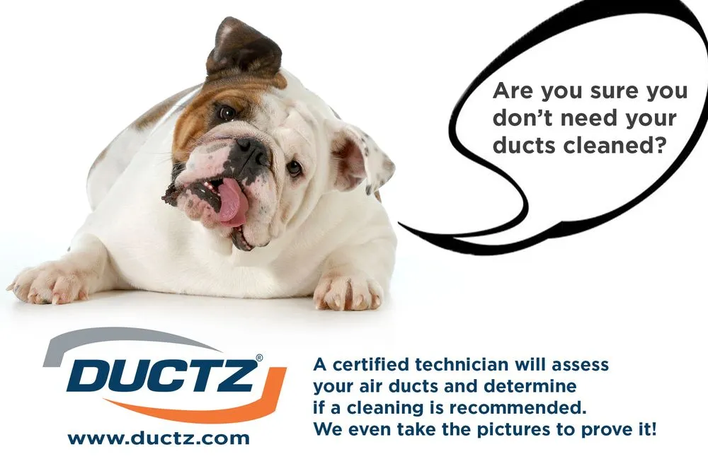 Slide of Ductz of Southeast Michigan