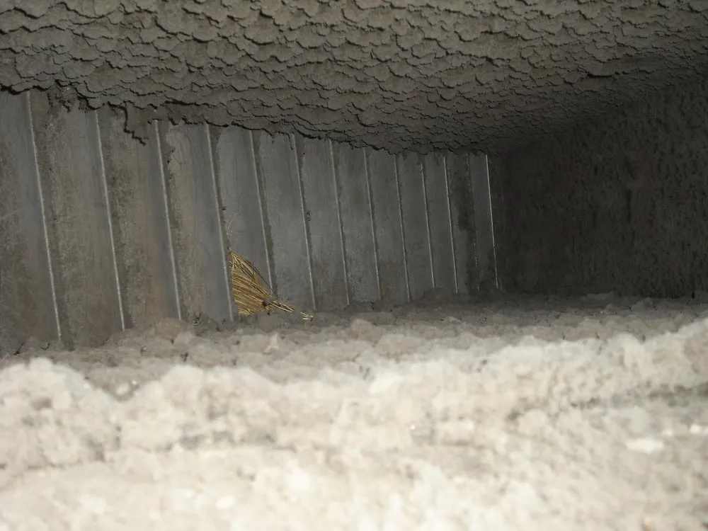 Local AC installation for residential systems in St Petersburg, FL by Ductz of Tampa Bay