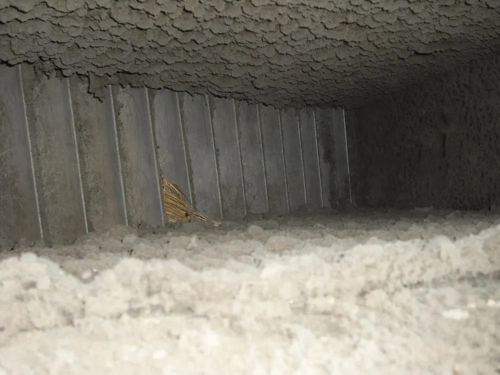 Trusted heating repair for fast service in St Petersburg, FL by Ductz of Tampa Bay