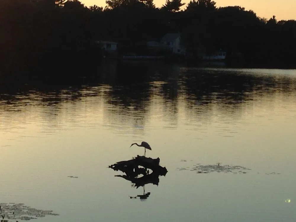 Slide of Duda Enterprises