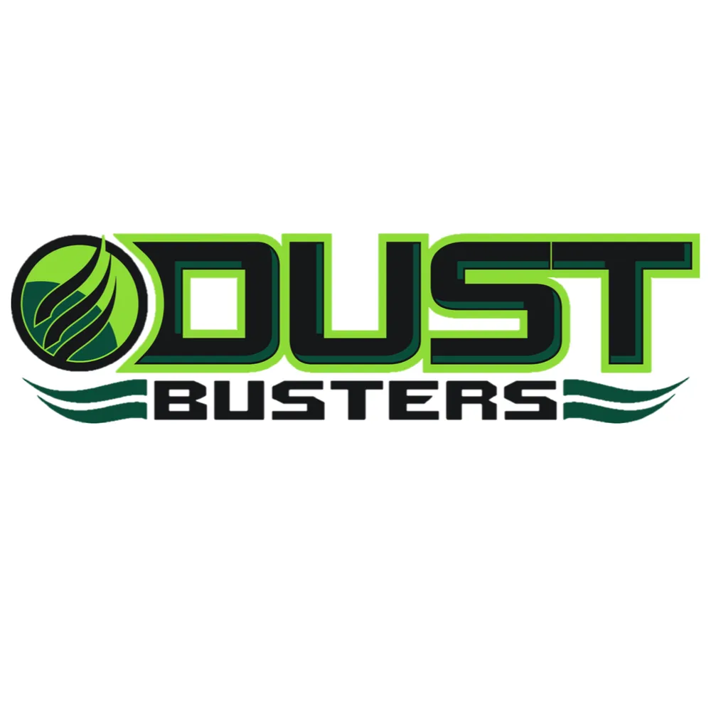 Slide of Dust Busters