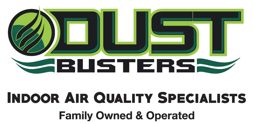 Slide of Dust Busters