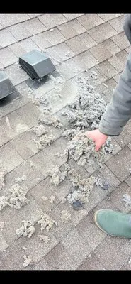 Dust Free Ducts Logo