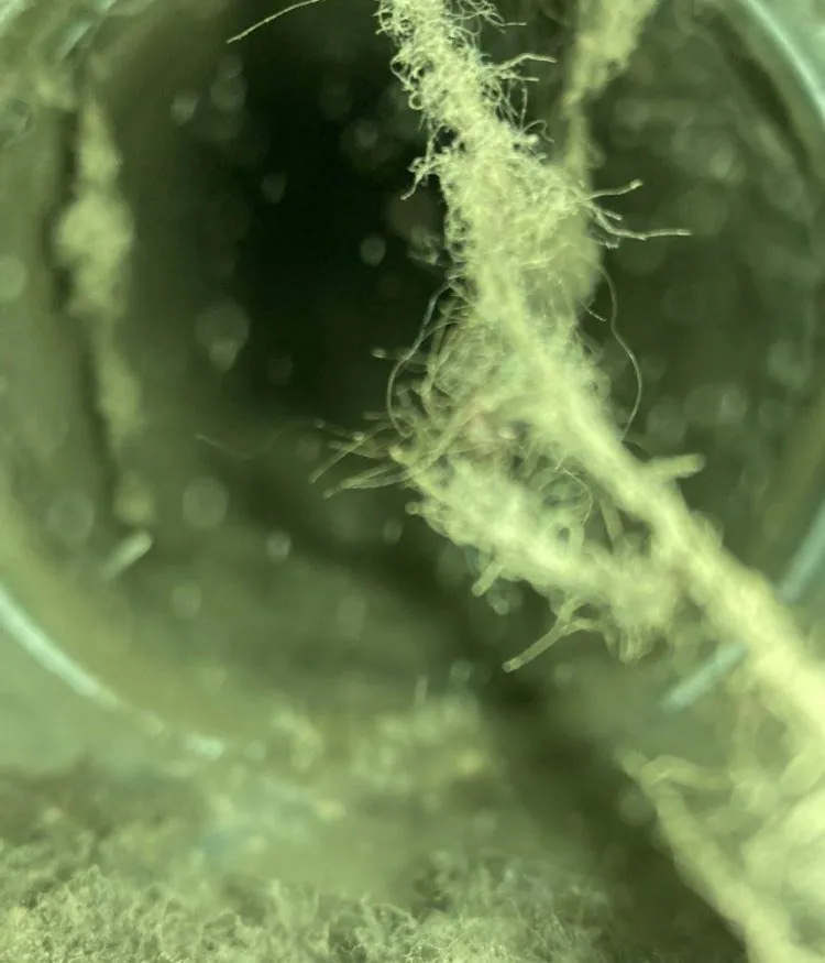 Slide of Dustbusters Duct Cleaning