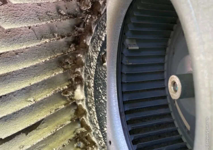 Slide of Dustbusters Duct Cleaning
