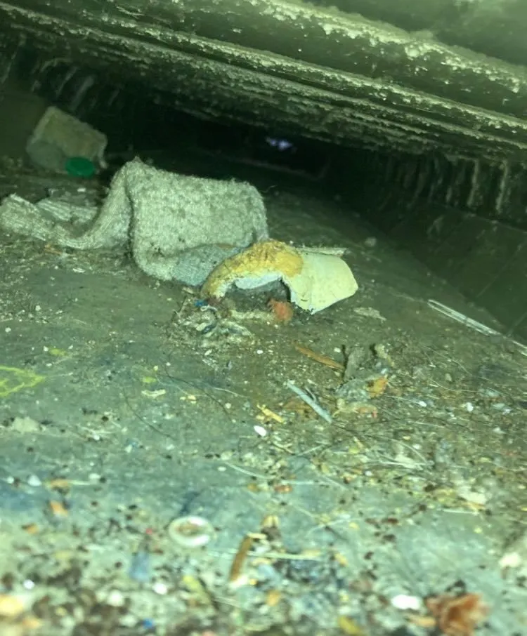 Slide of Dustbusters Duct Cleaning