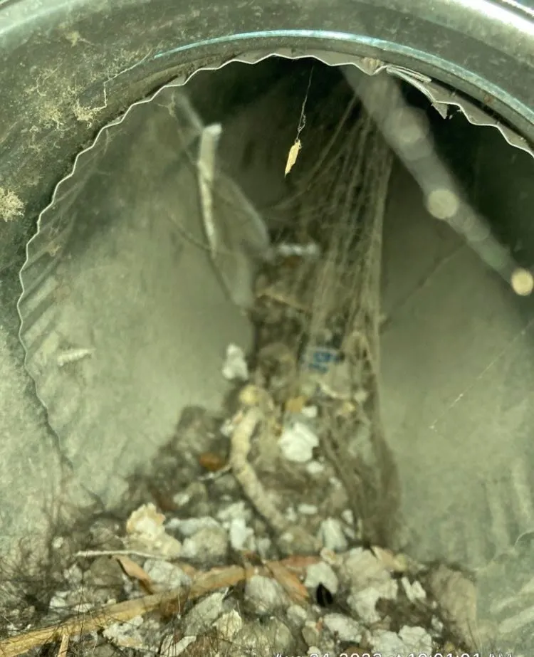 Slide of Dustbusters Duct Cleaning