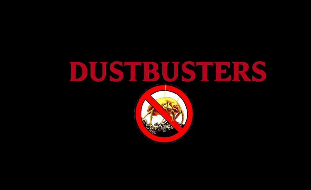 Slide of Dustbusters Duct Cleaning