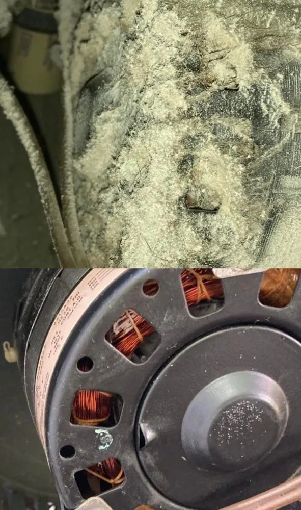 Slide of Dustbusters Duct Cleaning