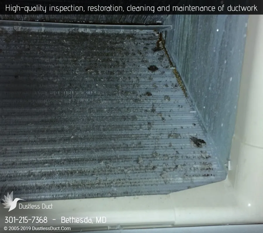 Slide of Dustless Duct - Bethesda