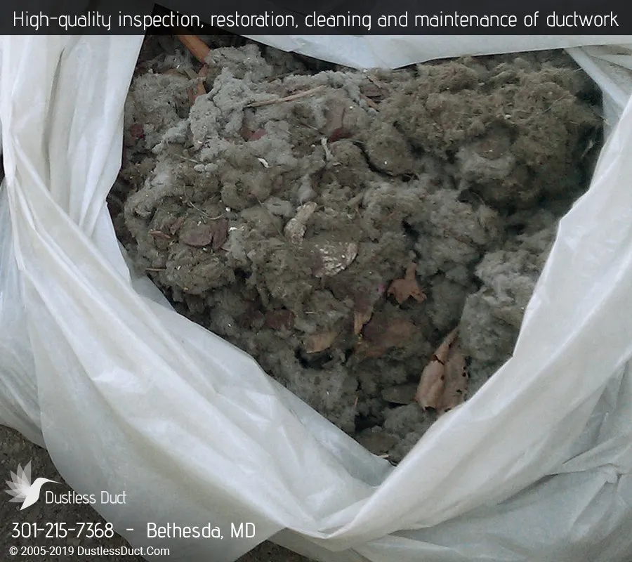 Slide of Dustless Duct - Bethesda