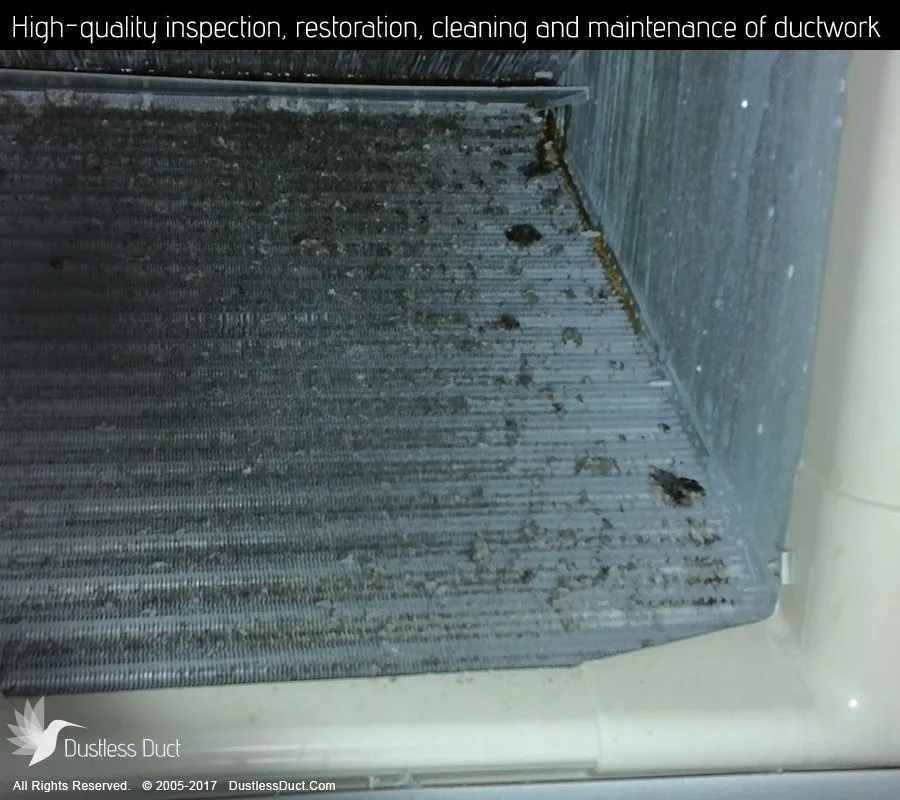 Slide of Dustless Duct -Arlington