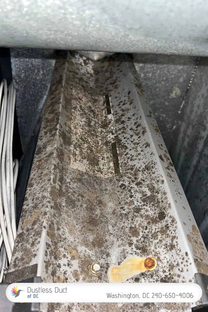Slide of Dustless Duct