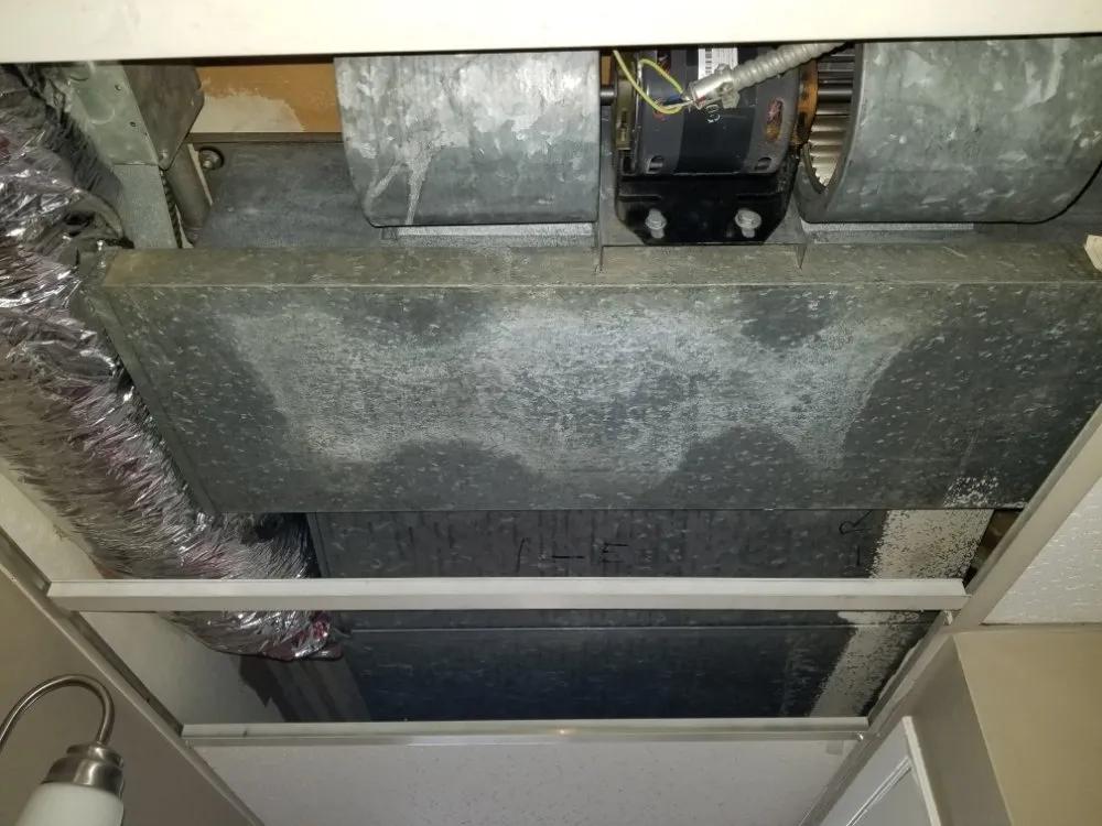 Slide of Dusty Ducts HVAC Services