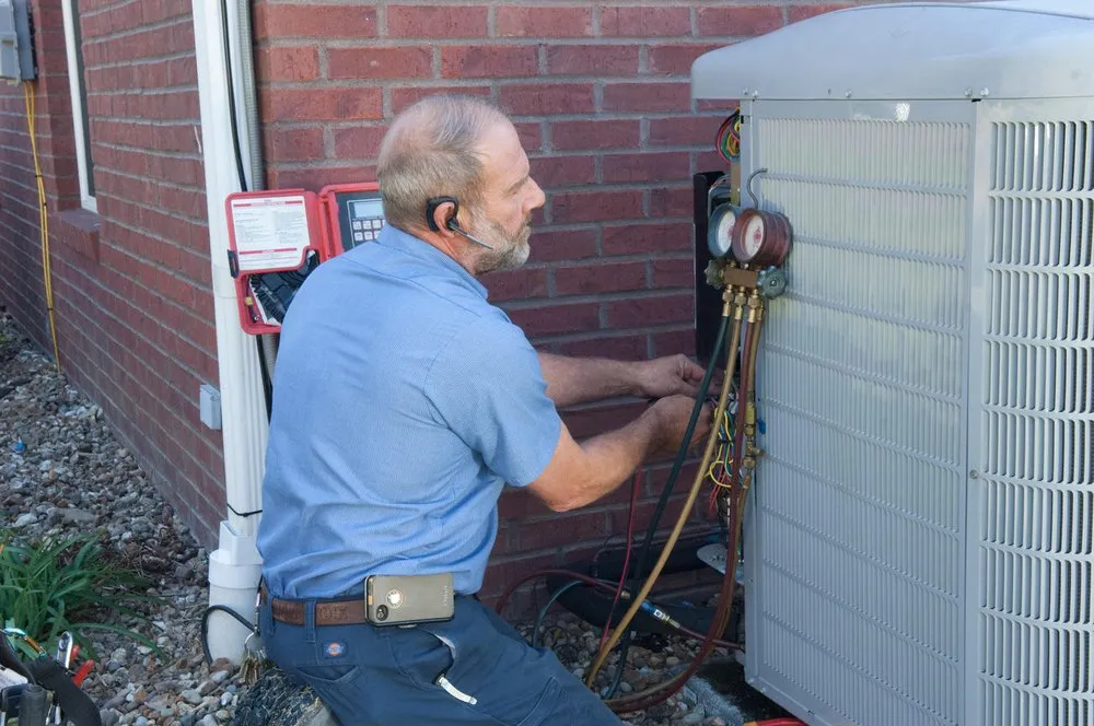 Slide of Dutch Enterprises