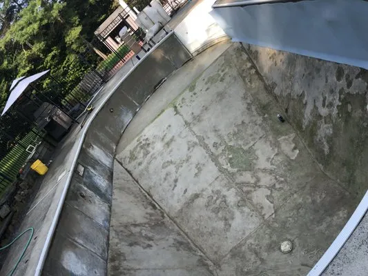 Duxbury Pools & Services Logo