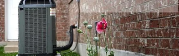 Slide of DVK Service