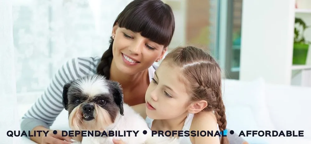 Slide of DWC Home Services